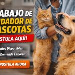 Trabajo de Cuidador de Mascotas: Empleo flexible, Ideal para Amantes de los Animales
